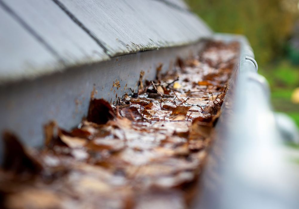 Dachrinnen regelmäßig reinigen: Darum ist es so wichtig